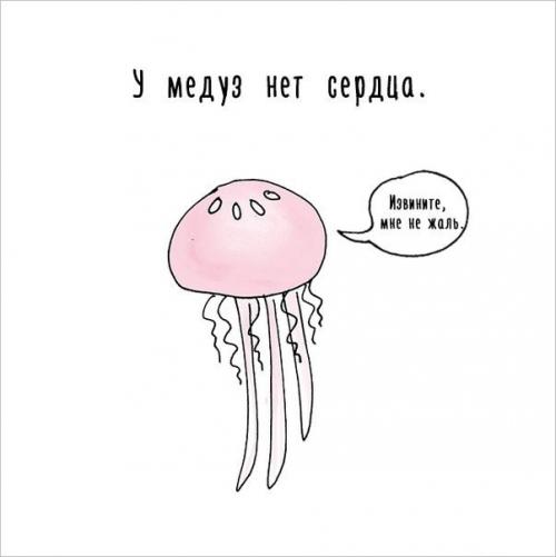 Художница придумала самый милый способ рассказать интересные факты о животных. 09