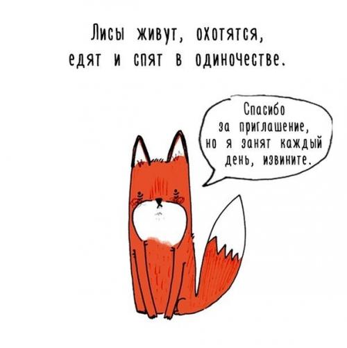 Художница придумала самый милый способ рассказать интересные факты о животных.