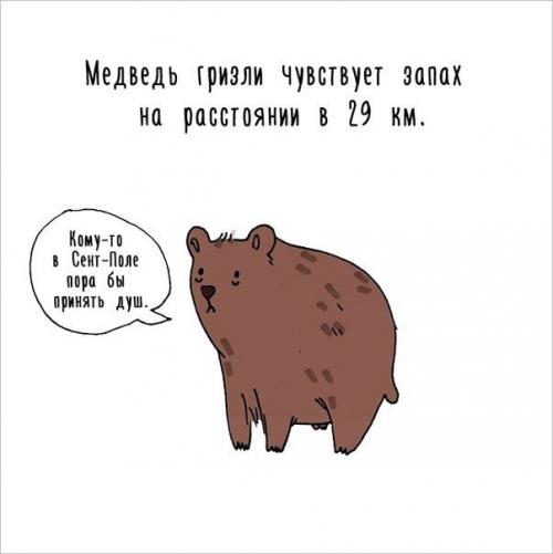 Художница придумала самый милый способ рассказать интересные факты о животных. 08