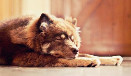 5 историй с хорошим настроением.