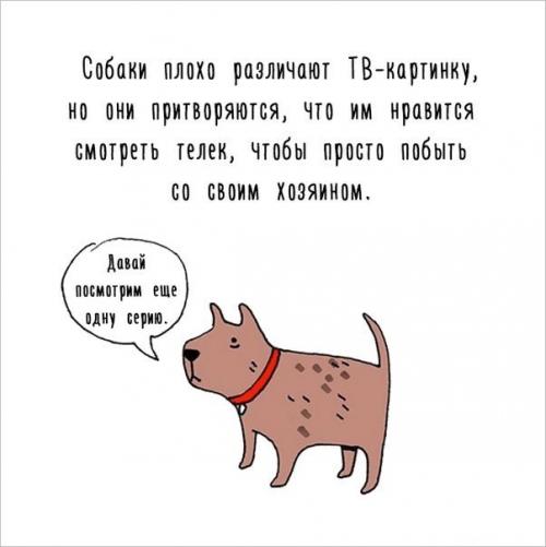 Художница придумала самый милый способ рассказать интересные факты о животных. 06