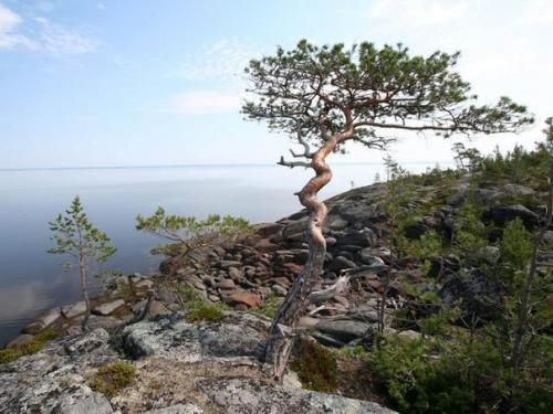 Онежский крестный монастырь, Россия. 08