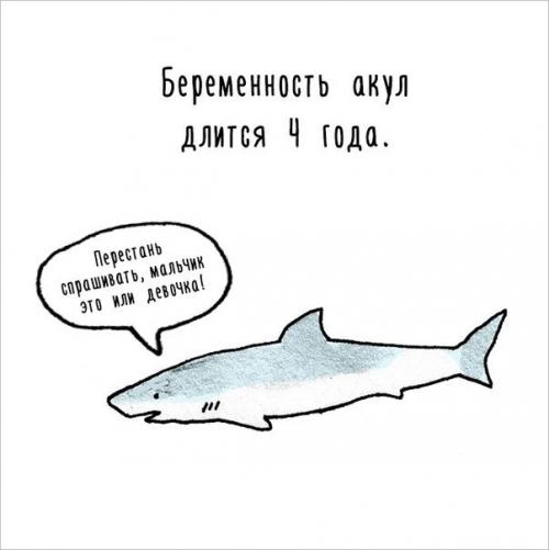 Художница придумала самый милый способ рассказать интересные факты о животных. 05