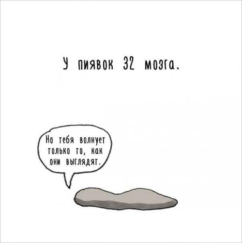 Художница придумала самый милый способ рассказать интересные факты о животных. 02