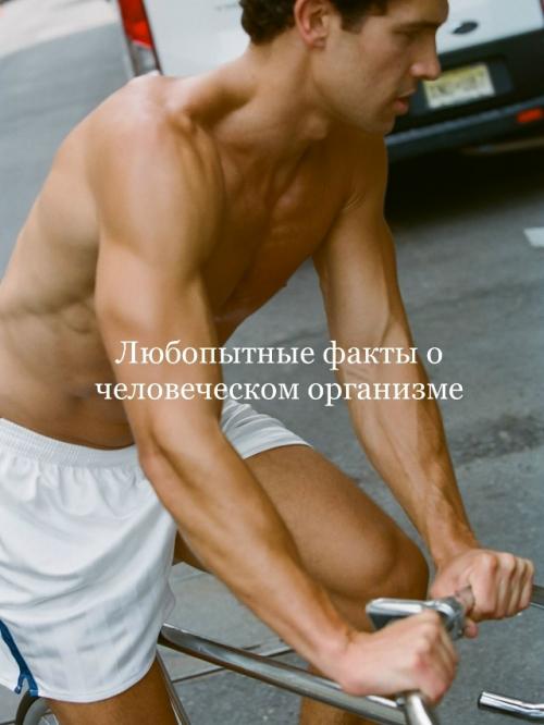 Любопытные факты о человеческом организме.

