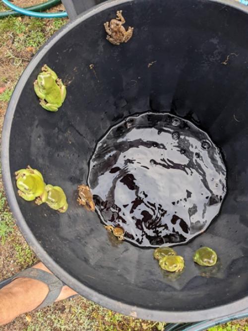 Когда мы слышим слово Австралия, в первую очередь на ум приходят кенгуру и шутки про людей, которые живут вверх ногами. 01