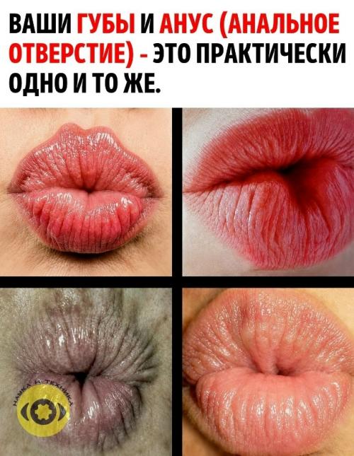 Начало и конец пищеварительной системы покрыты одним и тем же базовым типом ткани - многослойным плоским эпителием.  