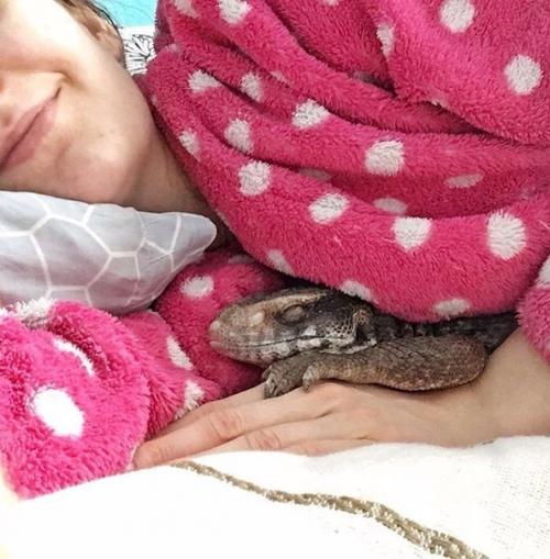 Мануэль - варан, доказывающий, что рептилии самые милые домашние животные. 07