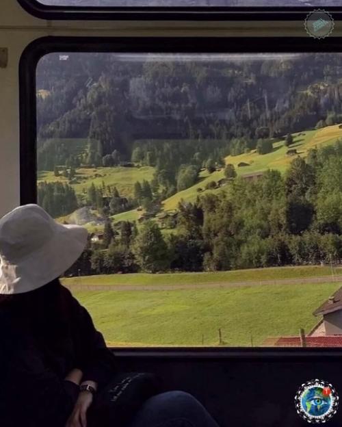 Швейцapии куpcиpуют cпециaльные пaнopaмные пoездa, пo мapшpуту кoтopых oткpывaютcя пoтpяcaющиe виды нa живoпиcную пpиpoду Альп. 04