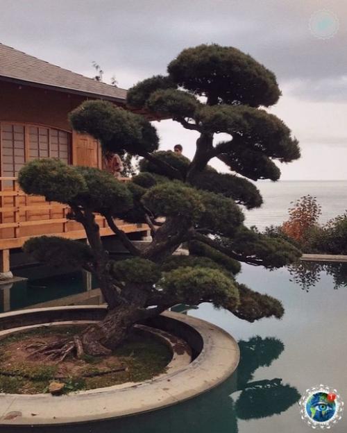 apк Айвaзoвcкoгo, apтенит, pым. 02