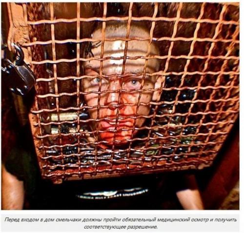 Mckamey Manor - самый страшный аттракцион в мире. 08