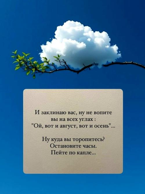 Август - это когда ты просыпаешься, а тебе уже 35, хотя только вчера. 04