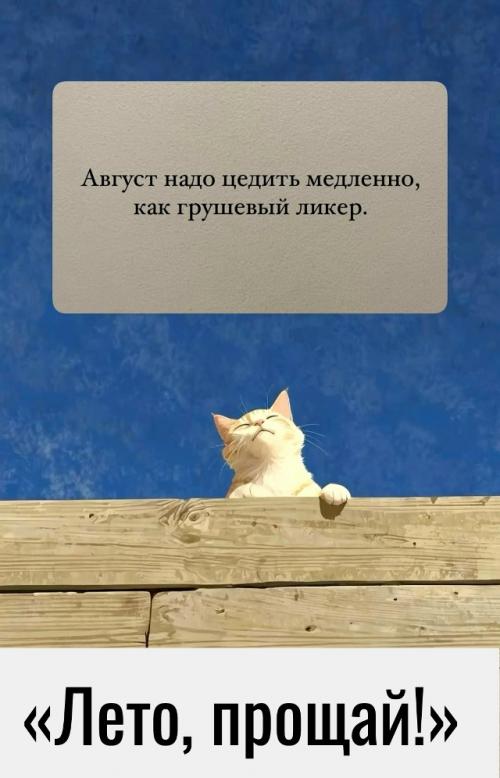 Август - это когда ты просыпаешься, а тебе уже 35, хотя только вчера.