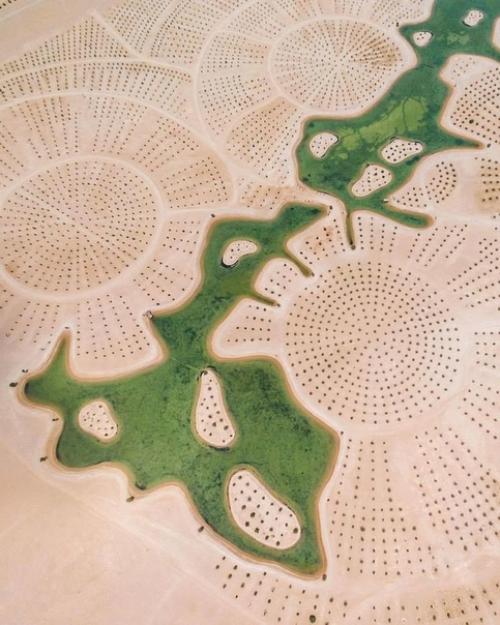 Невероятные фото о том, как пустыня поглощает Дубай и Абу - даби. 05