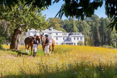 Отели, где можно отдохнуть активно. 08