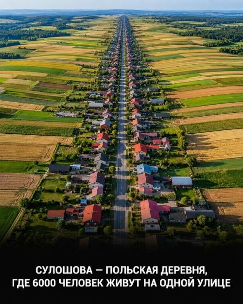 Эти невероятные кадры кажутся слишком идеальными, чтобы быть реальными. 08