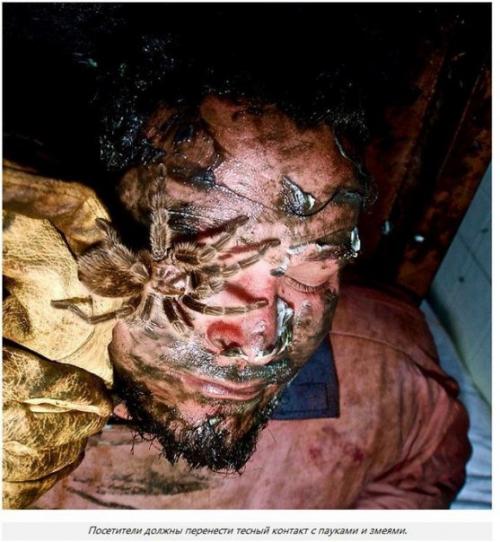 Mckamey Manor - самый страшный аттракцион в мире. 03