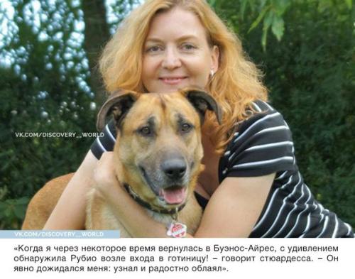 Стюардесса приютила собаку, которая верно ждала её после каждого полёта. 02