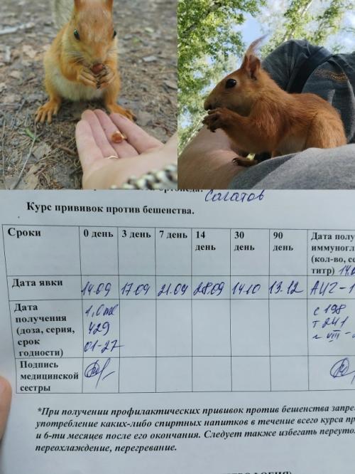 Осторожнее с белками. Осторожнее с белками.