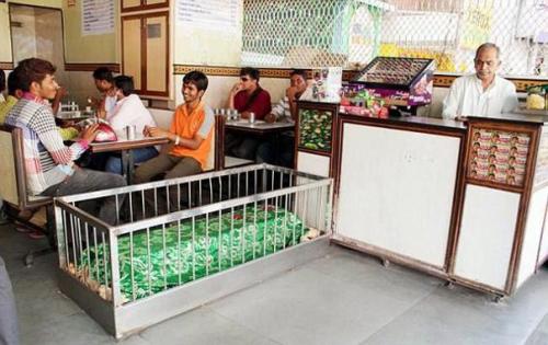 Необычные заведения со всего мира. Необычные заведения со всего мира.