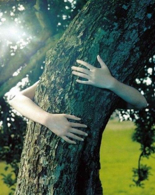 9 рецептов лечения хорошей литературой.