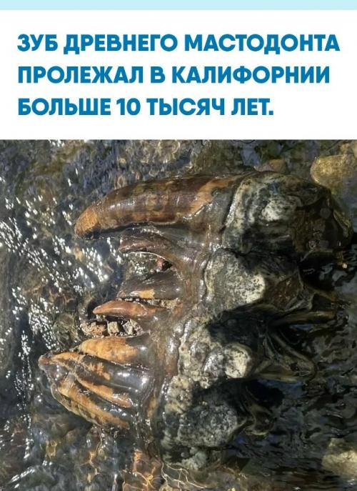 Геоморфолог бриджид линч заметила странный камень и поначалу не придала ему особого значения.  