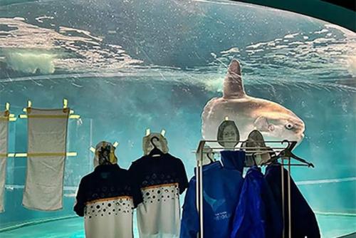 Японский океанариум сделал картонных посетителей для рыбы - луны, которая впала в депрессию из-за отсутствия людей во время ремонта аквариума. 02