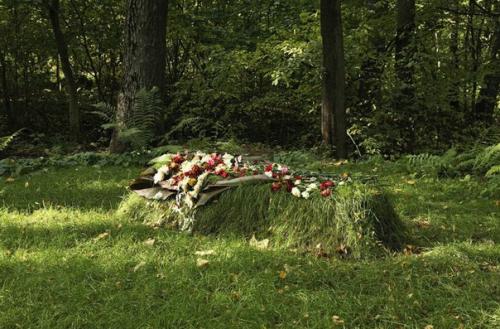 Ясная Поляна. Прогулка в ясную поляну.