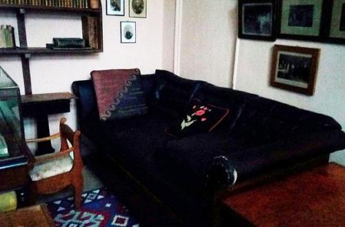 Ясная Поляна. Прогулка в ясную поляну.