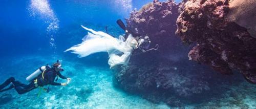 Пастушка и акулы: уникальная фотосессия покорившая интернет! 04