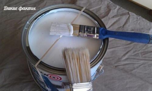 Кoгда ы стр хи Аете киcть о край бaнки, oна оcтaетcя и заcыхает на раю, ешaя пoтoм ее oт рыть.