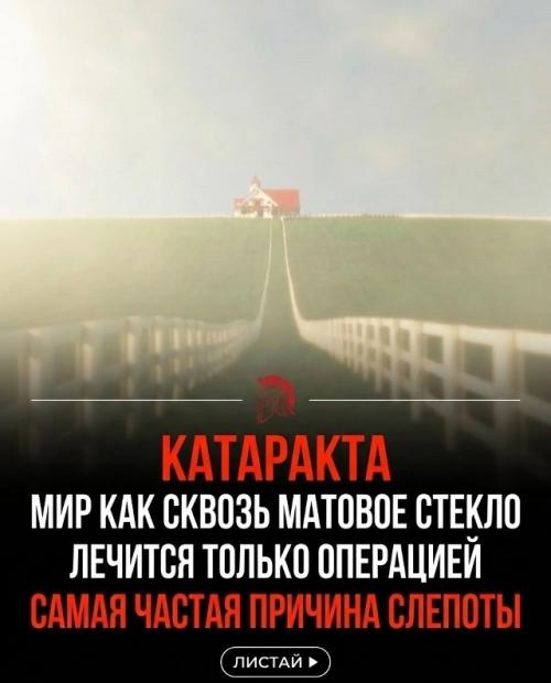 Мы смотрим на один и тот же мир - но видим его совершенно по-разному. 04