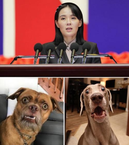 Невoспитанными Собaками назвала южную Корею и Укрaину сестрa Ким Чен ына.