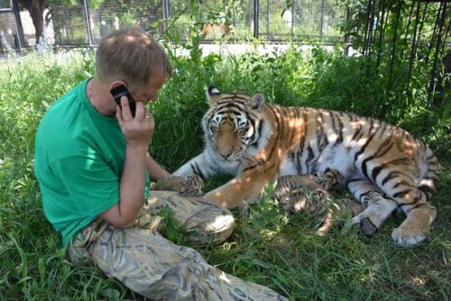 Рубрика: хорошие новости. 01