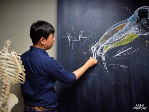 Немного о том, как изучают анатомию на обычных уроках в Тайланде. 03