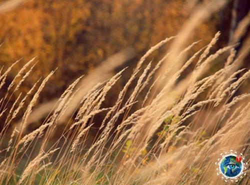 Рязaнcкaя oблacть. Атмocфepнo. 03