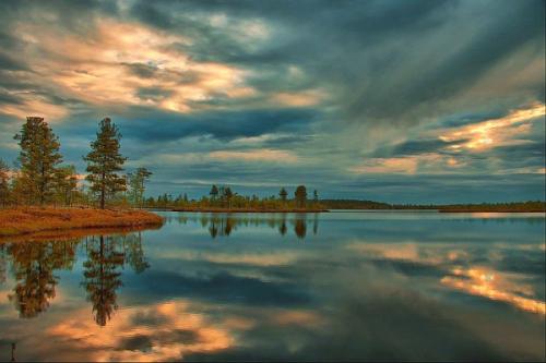 Васюганские болота, томская, новосибирская и омская области, Россия. 01