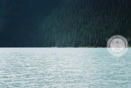 Ваш мозг все может.