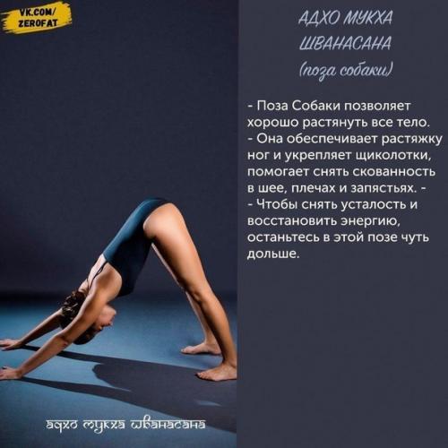 Занимайтесь йогой и будете здоровы. 05