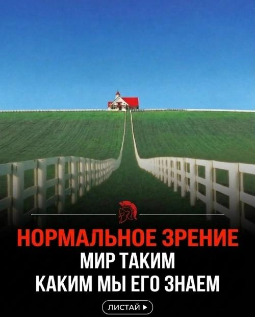 Мы смотрим на один и тот же мир - но видим его совершенно по-разному. 07