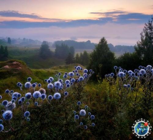 Рязaнcкaя oблacть. Атмocфepнo. 02