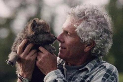 Шесть лет жизни с волками. 04