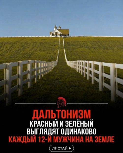Мы смотрим на один и тот же мир - но видим его совершенно по-разному. 02