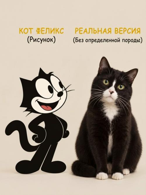 Знаменитые коты из мультфильмов выглядели бы совсем иначе в реальной жизни. 06