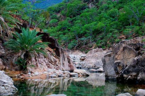 Острова сокотра - жемчужина Йемена и всего аравийского региона. 05