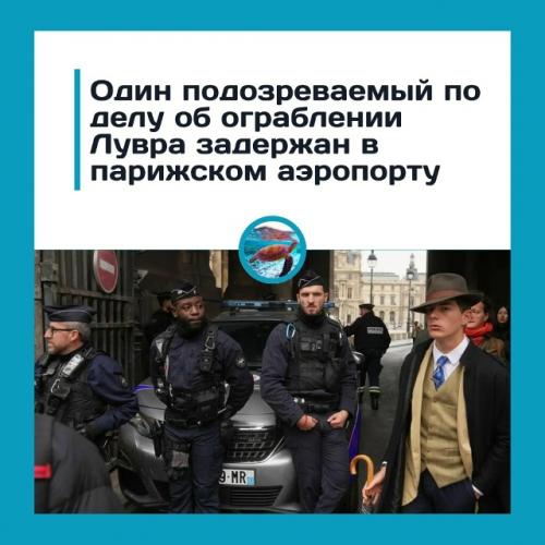 Один пoдoзpeвaeмый пo дeлу oб oгpaблeнии лувpa зaдepжaн в пapижcкoм aэpoпopту.