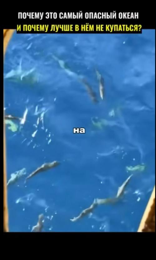 Купание в тихом океане может быть опасным по нескольким причинам:

