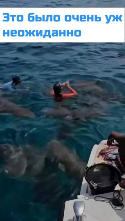 Акула чуть не лишила россиянку двух пальцев на Мальдивах. 
