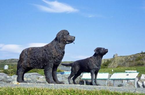 Четверолапые помощники моряков на кораблях. 01