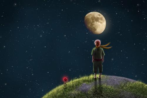 Читали книгу маленький принц?